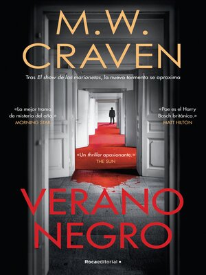 cover image of Verano negro